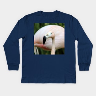 Flamingo Kids Long Sleeve T-Shirt